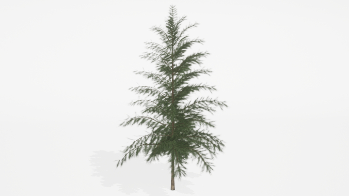 渲染模型_树1327