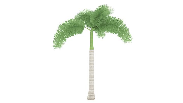 渲染模型_树1436