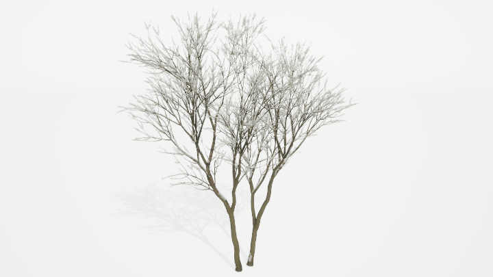 渲染模型_树1488