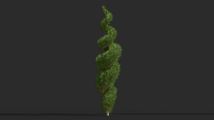 渲染模型_树1553