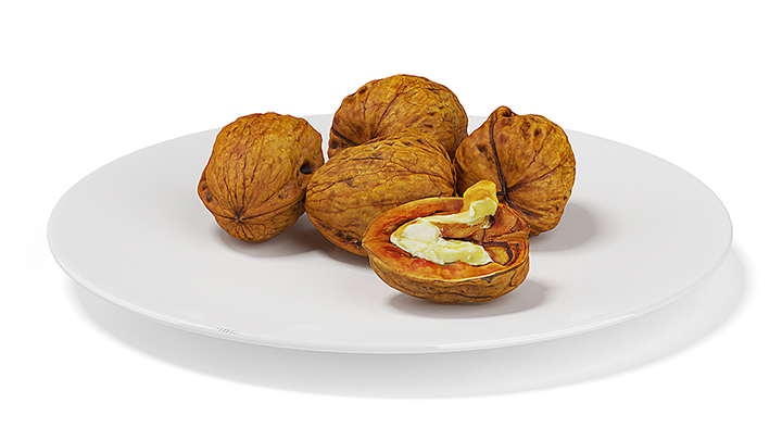 渲染模型_核桃007