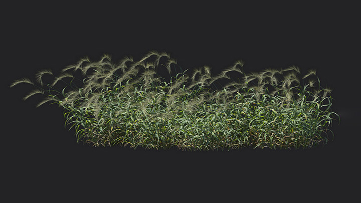 渲染模型_植物1147