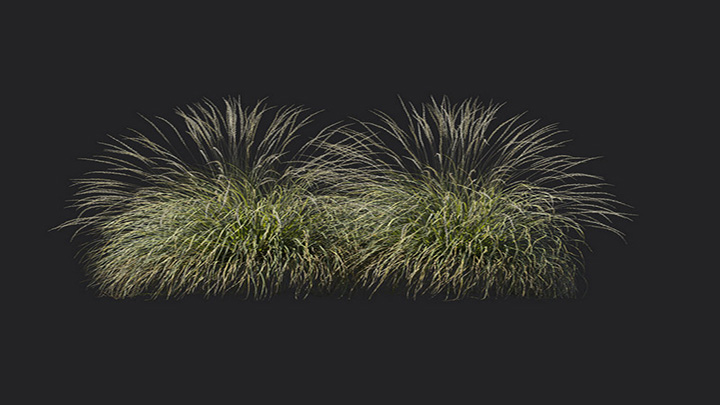 渲染模型_植物1162