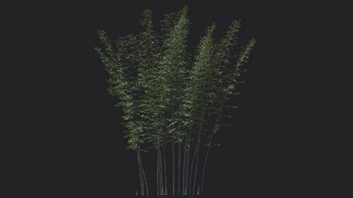 渲染模型_植物1208