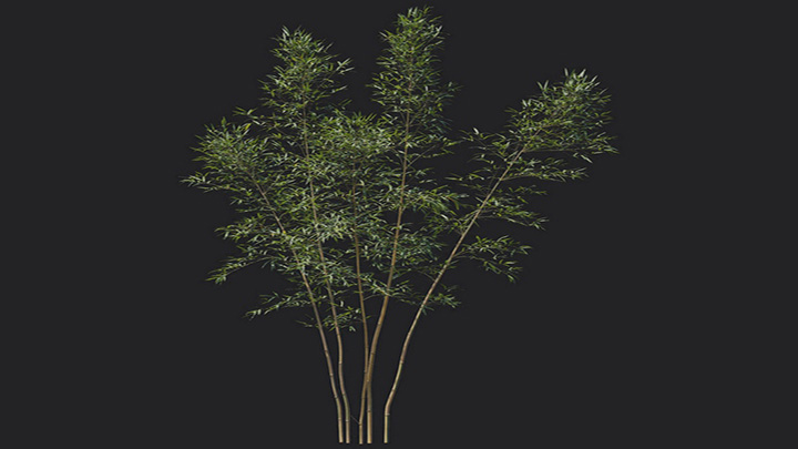 渲染模型_植物1216