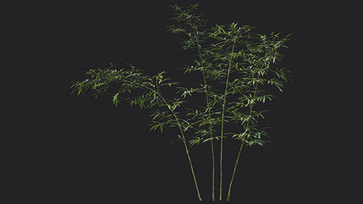 渲染模型_植物1225