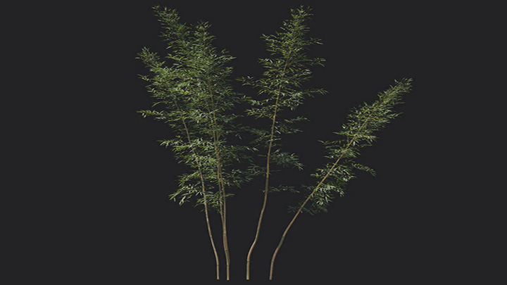 渲染模型_植物1231