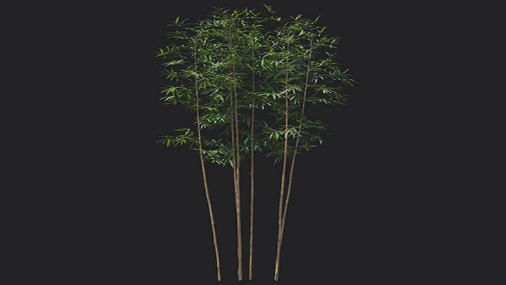 渲染模型_植物1235