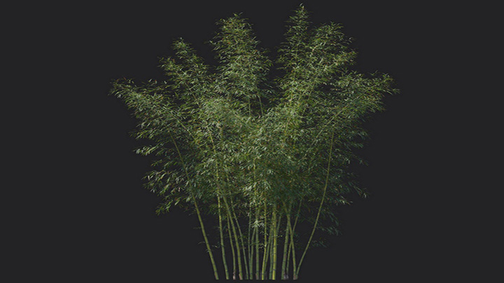 渲染模型_植物1240