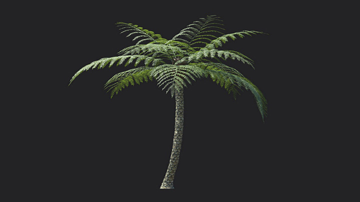 渲染模型_植物1279