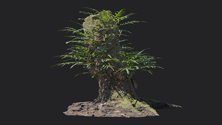 渲染模型_植物1298