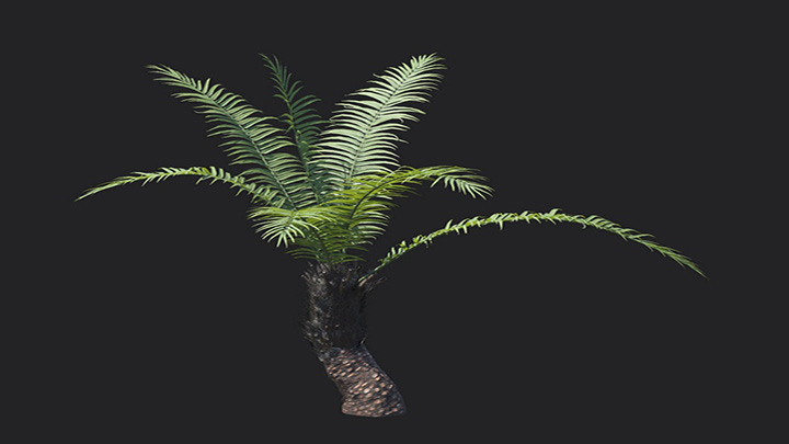 渲染模型_植物1312