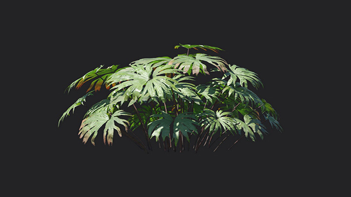 渲染模型_植物1316
