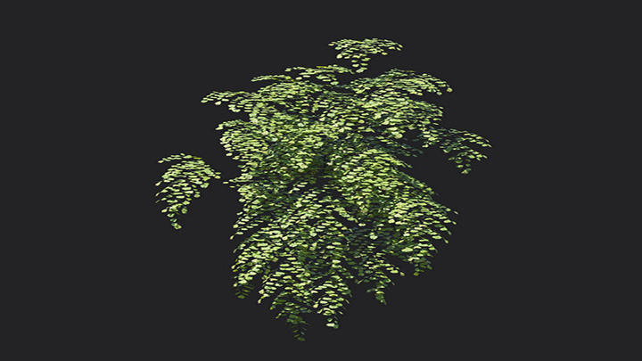 渲染模型_植物1322