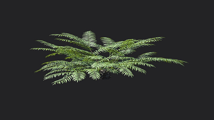 渲染模型_植物1327