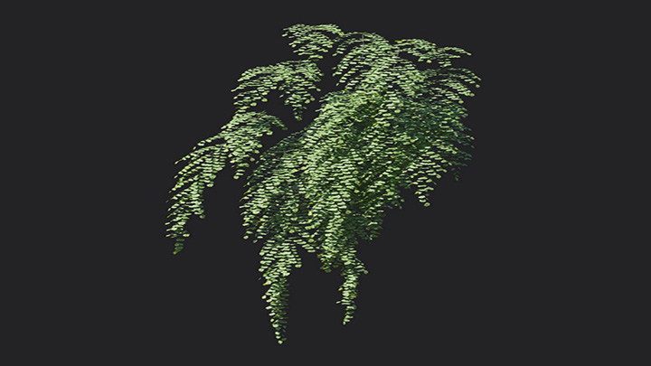 渲染模型_植物1334