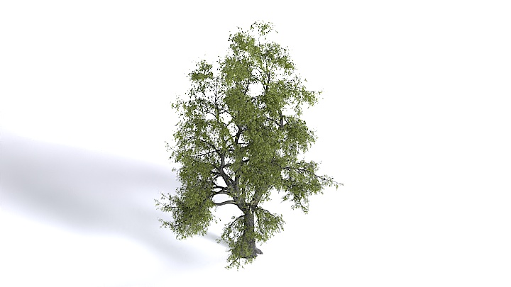 渲染模型_植物1353