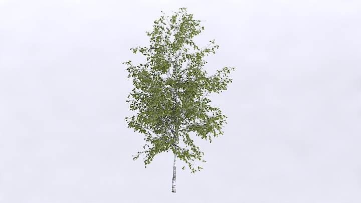 渲染模型_植物1359