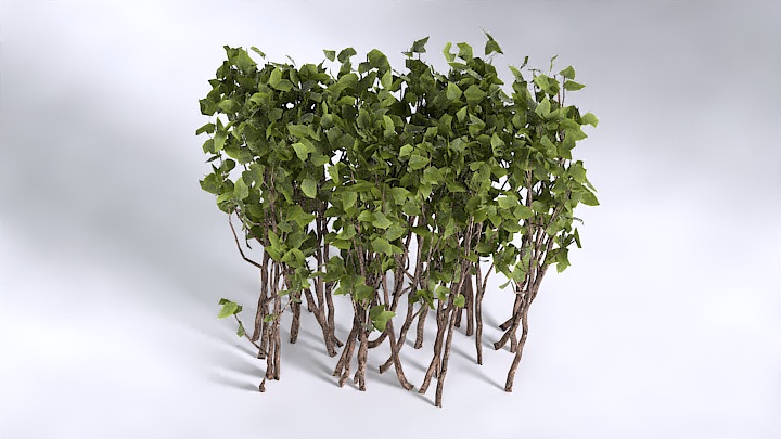 渲染模型_植物1388