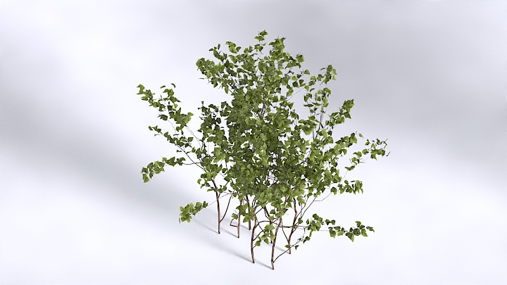 渲染模型_植物1390