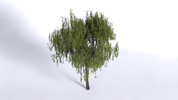 渲染模型_植物1426