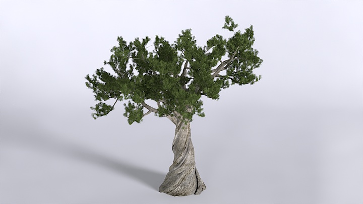 渲染模型_植物1427