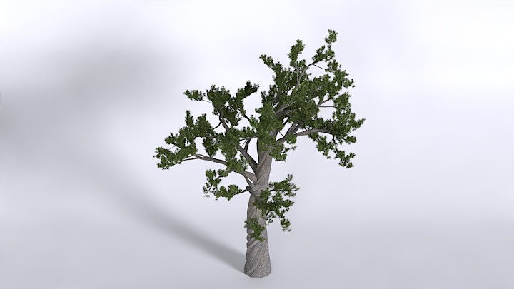 渲染模型_植物1433