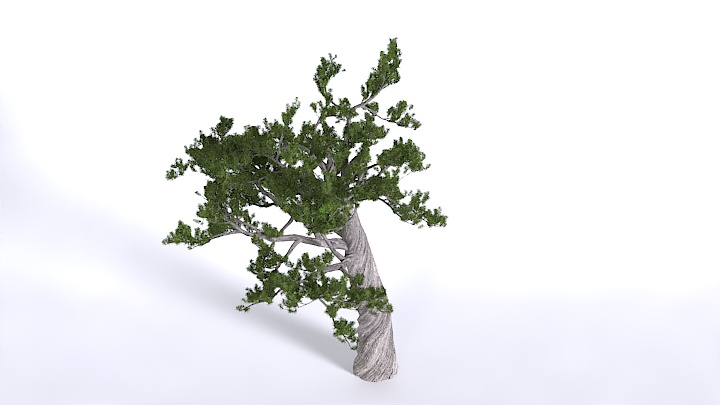 渲染模型_植物1435