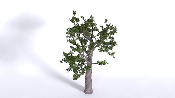 渲染模型_植物1436