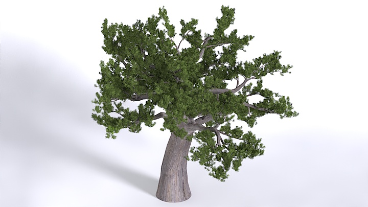 渲染模型_植物1443