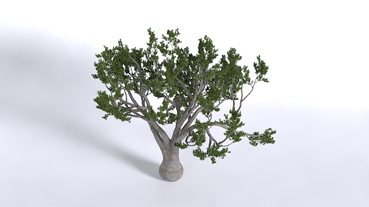 渲染模型_植物1445