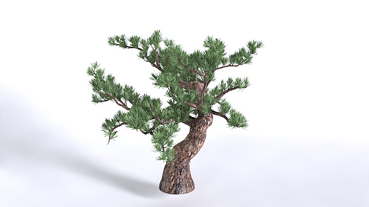 渲染模型_植物1446