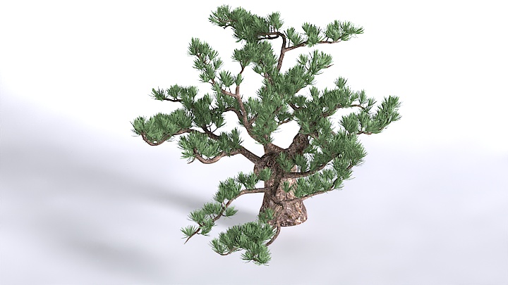 渲染模型_植物1447