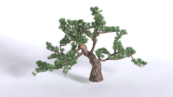 渲染模型_植物1448