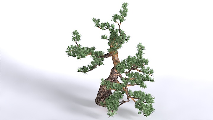 渲染模型_植物1450