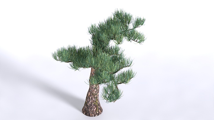 渲染模型_植物1453