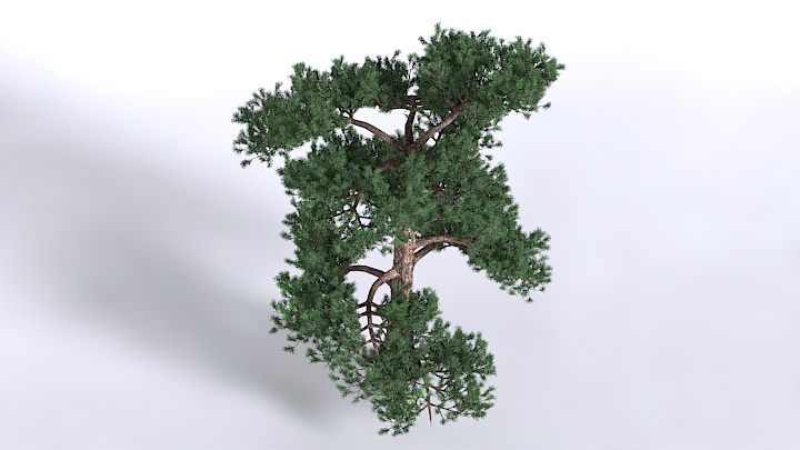 渲染模型_植物1463