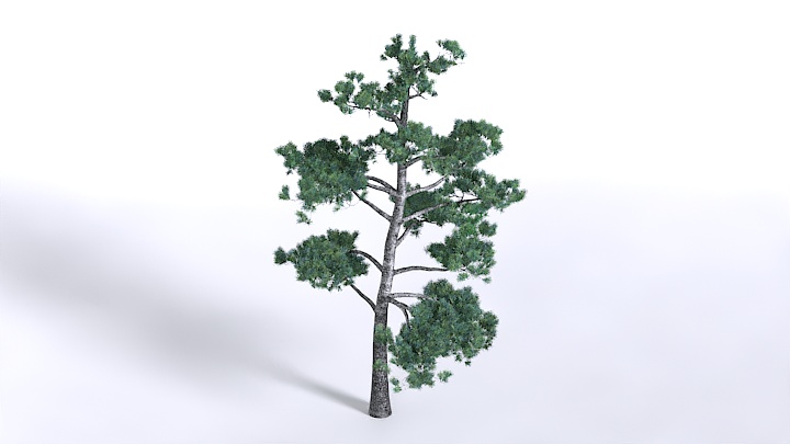 渲染模型_植物1472