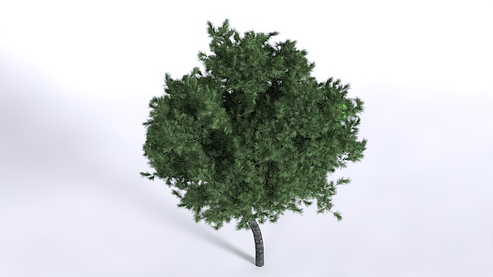 渲染模型_植物1483