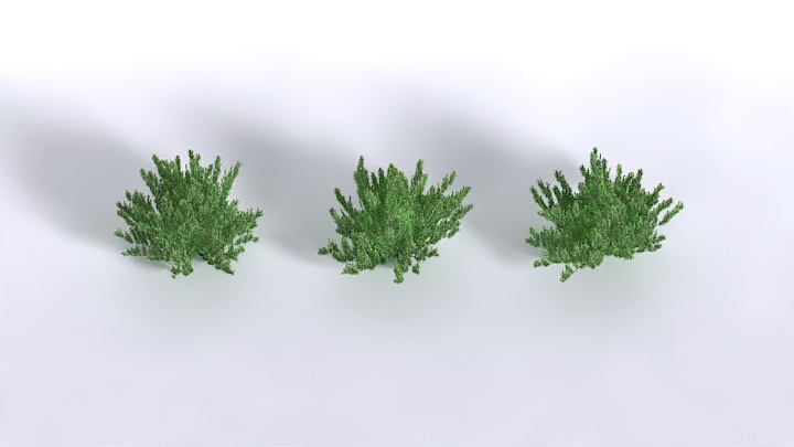 渲染模型_植物1510