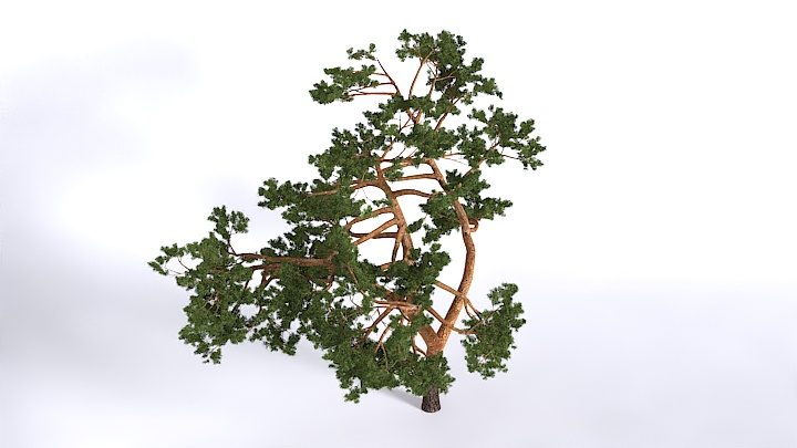 渲染模型_植物1537