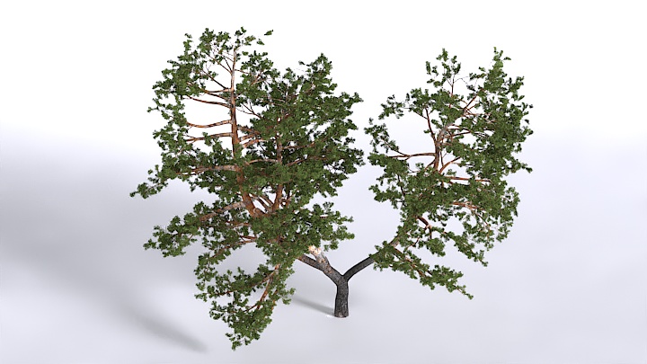 渲染模型_植物1549