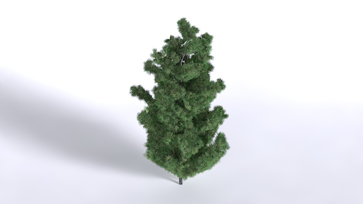 渲染模型_植物1569