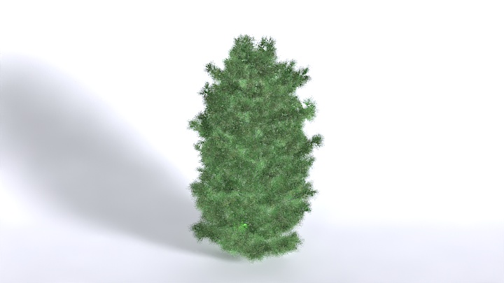 渲染模型_植物1570