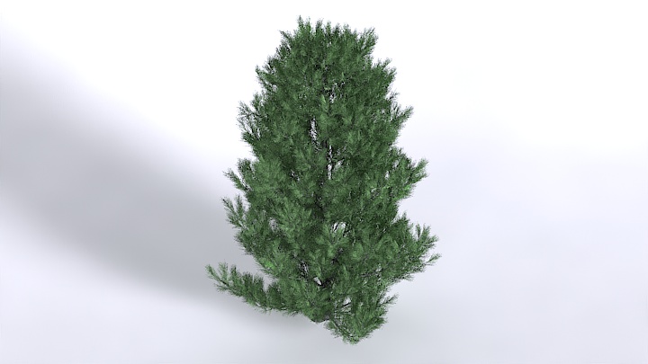 渲染模型_植物1571