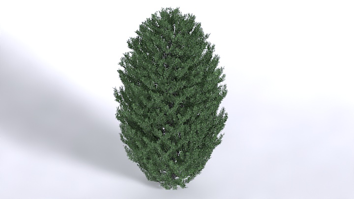 渲染模型_植物1576