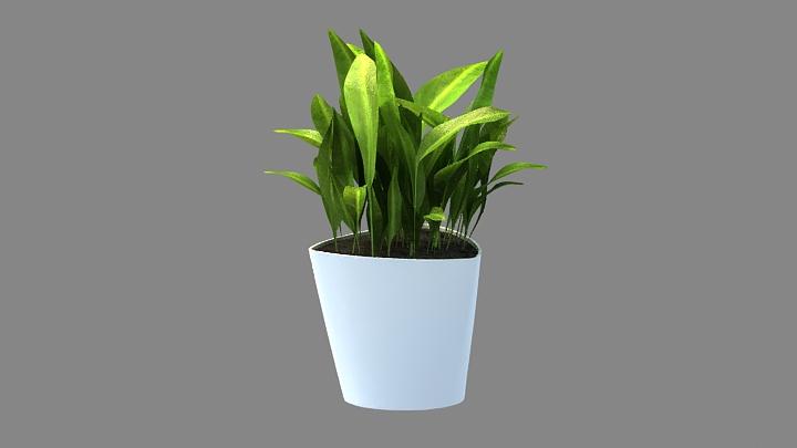 渲染模型_植物1594