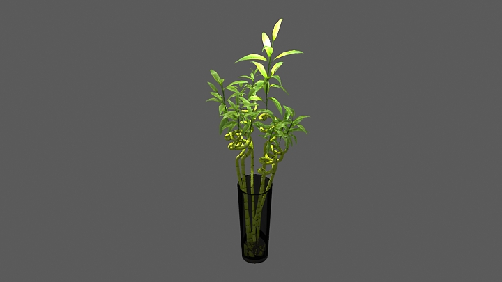 渲染模型_植物1596