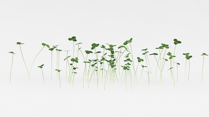 渲染模型_植物草063