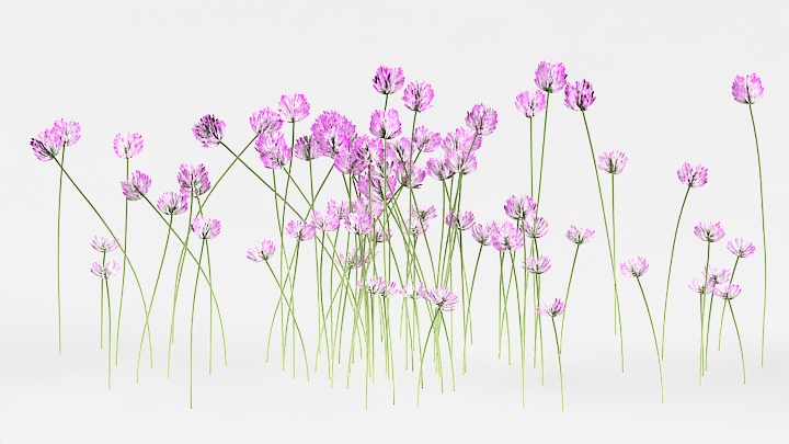 渲染模型_植物草065